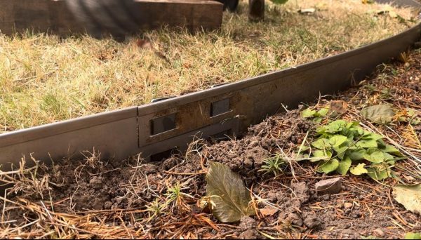 Close-up of Cor-Ten Steel edging showing it's distinctive rust